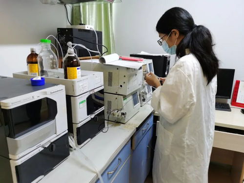 鄉(xiāng)村振興 高要 加強(qiáng)農(nóng)業(yè)科技創(chuàng)新,推動現(xiàn)代農(nóng)業(yè)發(fā)展