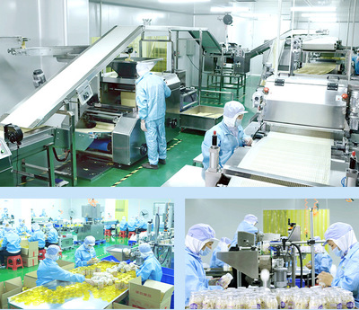 源頭工廠童世界凍干水果豆兒童營養輔食水果粒批發多口味可定制產品展示